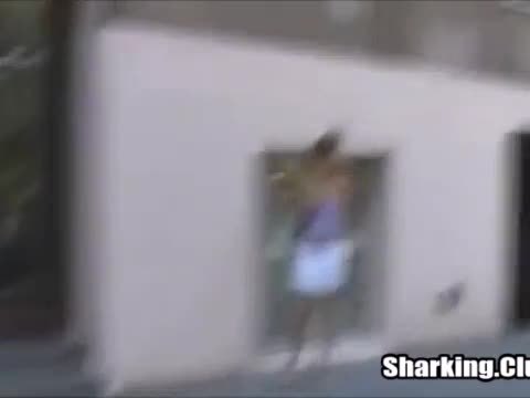 Public Sharking Compilation