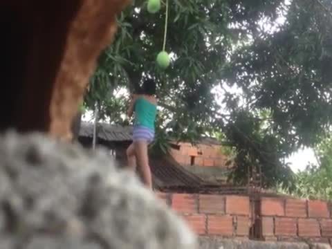 Mi vecina bajando mangos