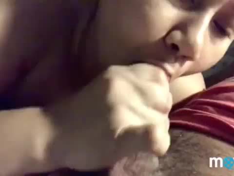 Wife Blowjob Special