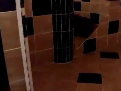 Allisa seduces a huge cock in a public bathroom