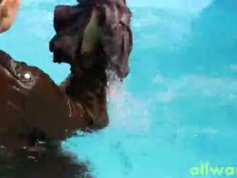 Kinky eurobabe pool fight