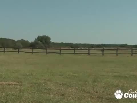 Farm Girl Sandra Romain Has Some Rough Anal Down At The Farm