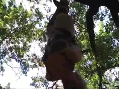 Sandra Nature Suspension