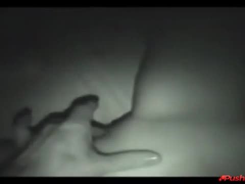 Sis gives bro a BJ while asleep